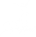 logo beslim 3